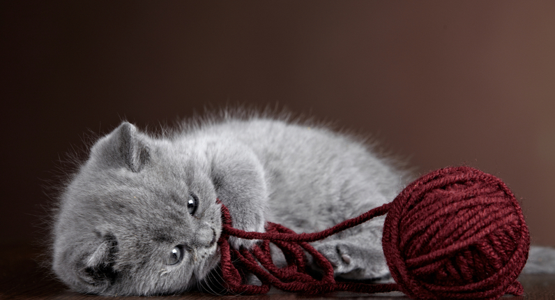Properly practiced knitting soothes the troubled spirit, and it doesn't hurt the untroubled spirit either. 