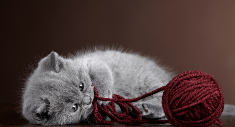 Properly practiced knitting soothes the troubled spirit, and it doesn't hurt the untroubled spirit either. 